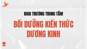 Bồi dưỡng Kiến thức Dương Kinh