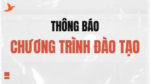 CÁC KHÓA HỌC BỒI DƯỠNG KIẾN THỨC Dương Kinh